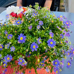 Photo n°6 de l'avis de the.e fait le 02/06/2023 à 22:19 sur le  Tiffany à Nümbrecht