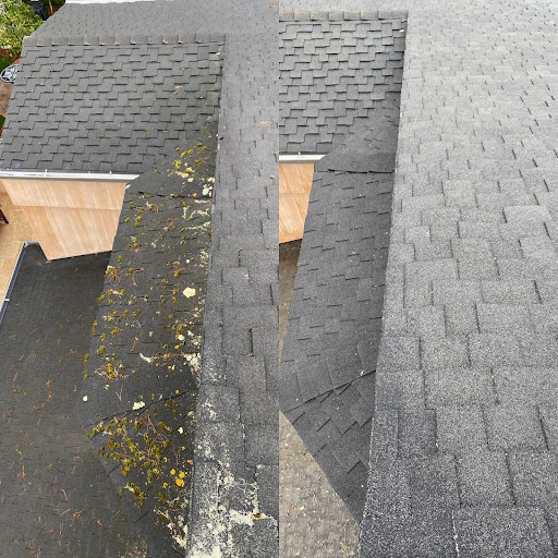 Peninsula Exterior Cleaning image