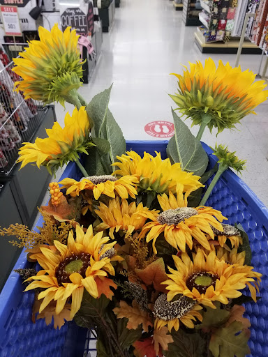 Craft Store «Hobby Lobby», reviews and photos, 1571 Cotton Exchange, Prattville, AL 36066, USA