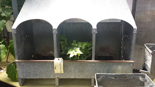 Florist «Vanlierop Garden Market Ltd», reviews and photos, 1020 Ryan Ave, Sumner, WA 98390, USA