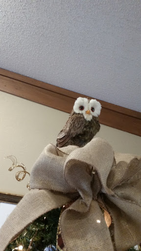 Movie Theater «Rave Cinemas Dayton South and XD», reviews and photos, 195 Mall Woods Dr, Dayton, OH 45449, USA