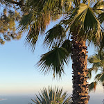 Photo n°1 de l'avis de Julia.e fait le 17/07/2023 à 13:00 sur le  Moinho Dom Quixote à Azóia