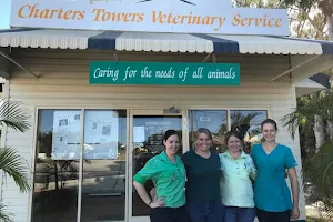 Charters Towers Veterinary Service image