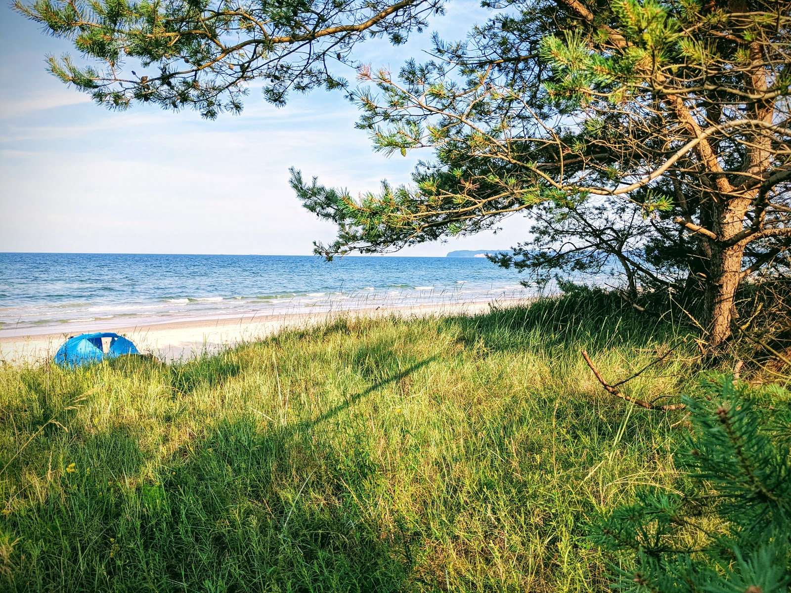 Strandpanorama Prora'in fotoğrafı - rahatlamayı sevenler arasında popüler bir yer