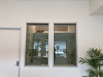 Cat Boarding by Nourish - Photo 3 - Car repair in Houston, TX, Houston