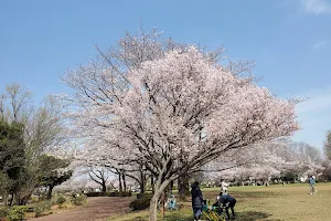 Higashimurayama Central Park image