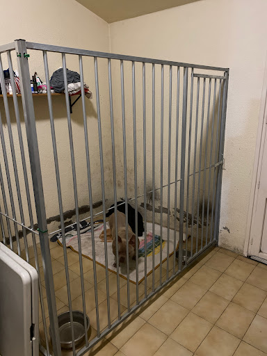 Esport Canin S L - Castellar del Vallès