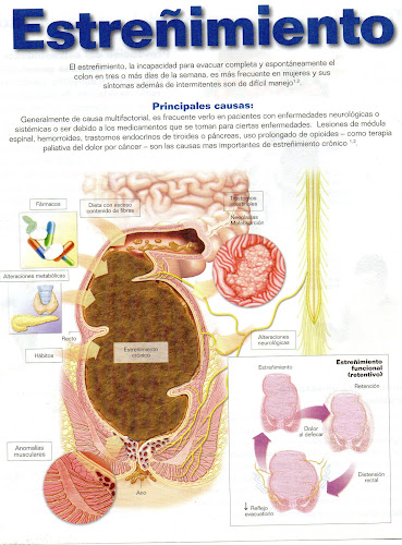 Comentarios y opiniones de Cirugia Digestiva y Colorectal del Peru