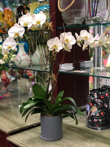 Florist «Ditmars Flower Shop», reviews and photos, 2911 Ditmars Blvd, Queens, NY 11105, USA