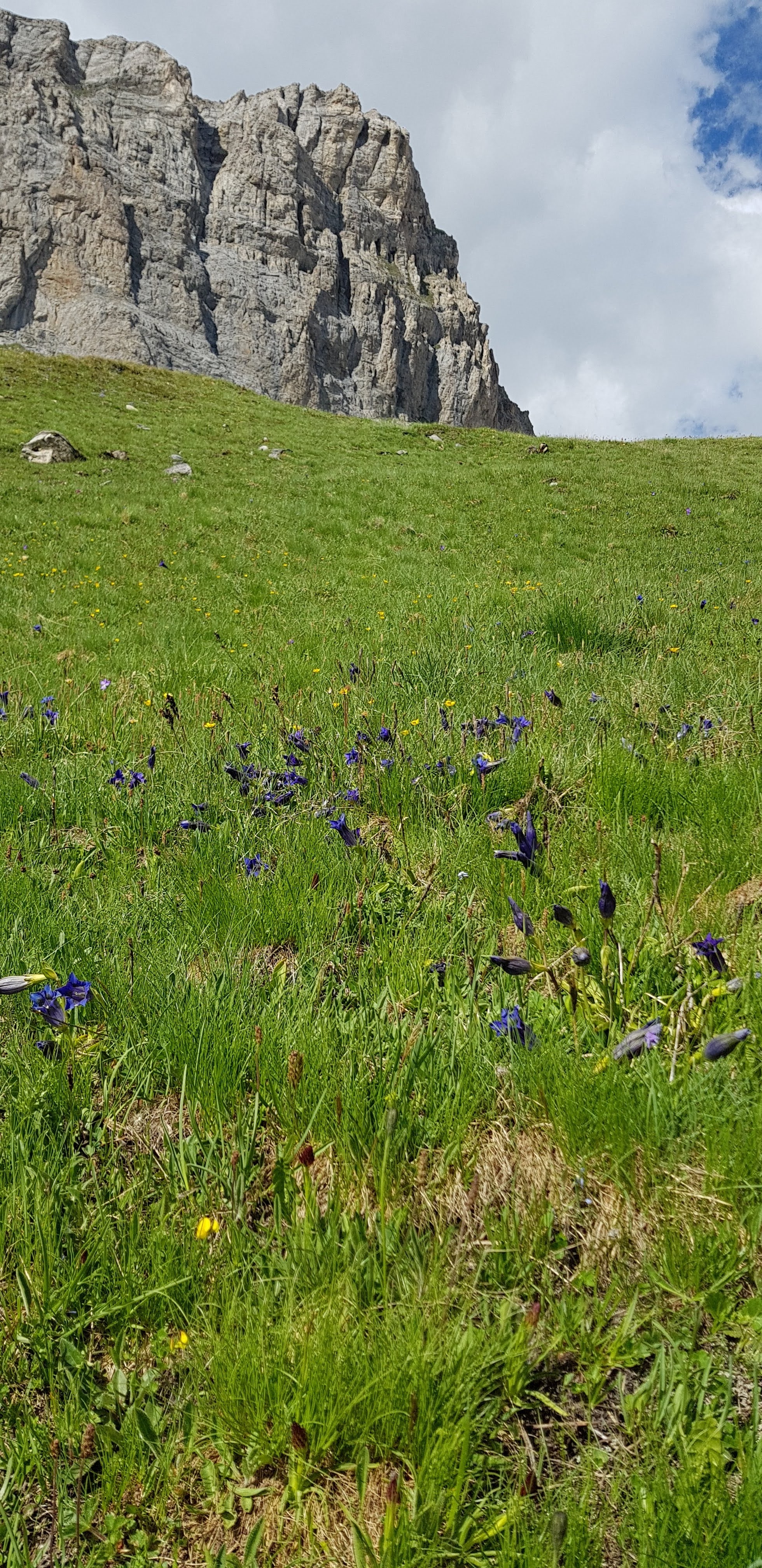Photo n° 31 de l'avis de Jean-Luc.O fait le 27/04/2019 à 06:13