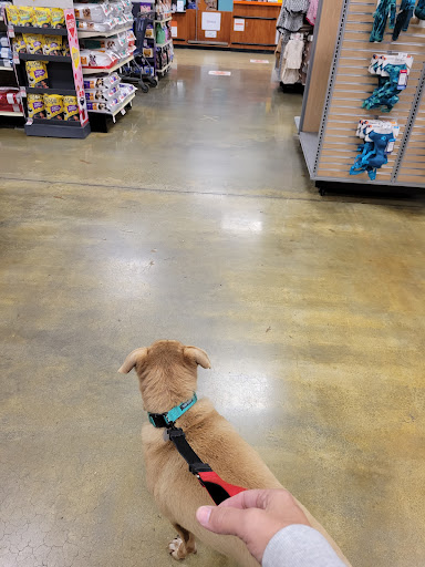 Pet Supply Store «PetSmart», reviews and photos, 745 W Huntington Dr, Monrovia, CA 91016, USA
