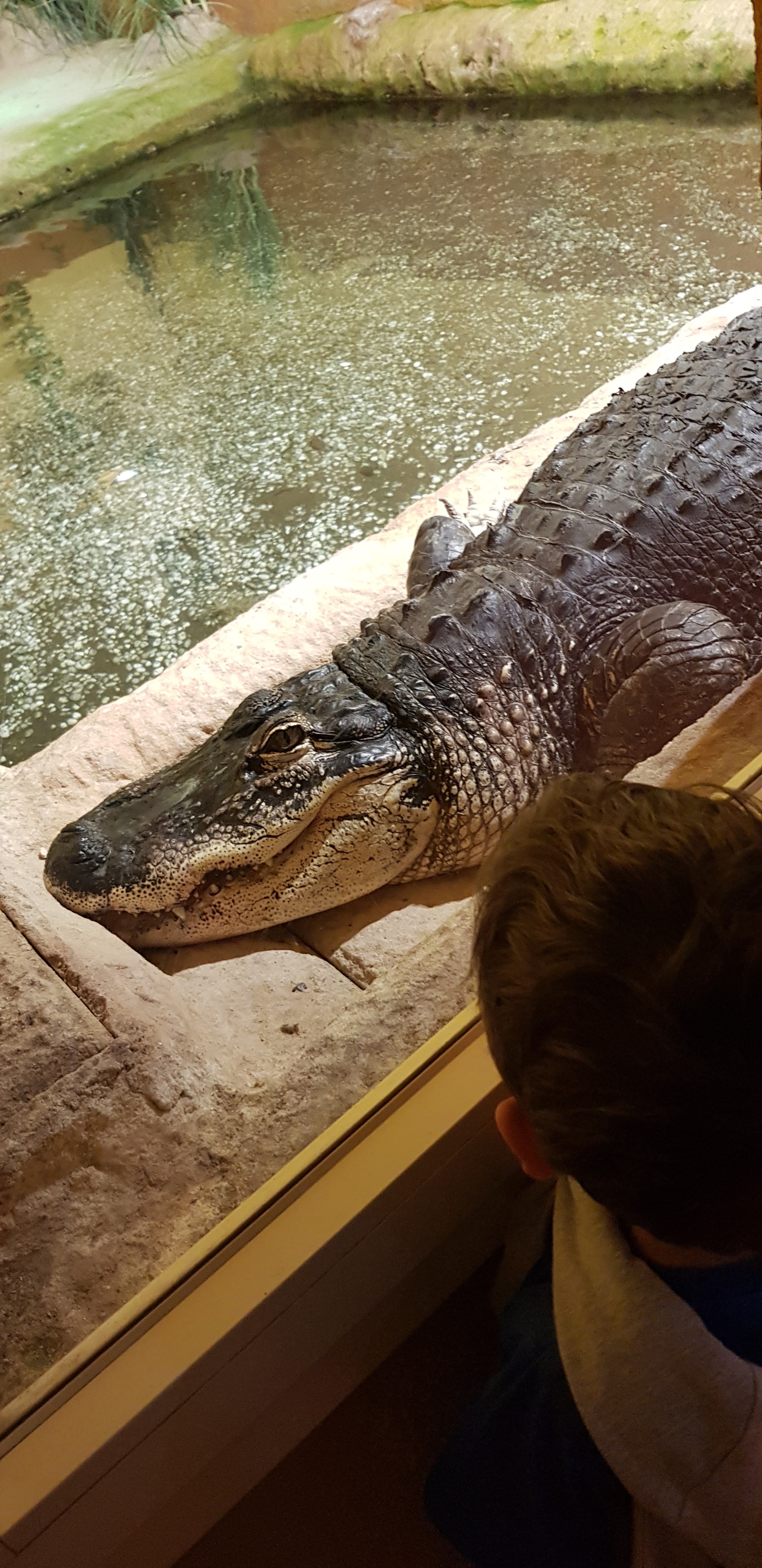 Photo n° 3 de l'avis de joyce.u fait le 16/08/2022 à 20:34