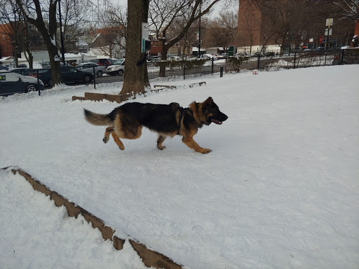 Dog Park «Wiggly Field Dog Friendly Area», reviews and photos, 2645 N Sheffield Ave, Chicago, IL 60614, USA