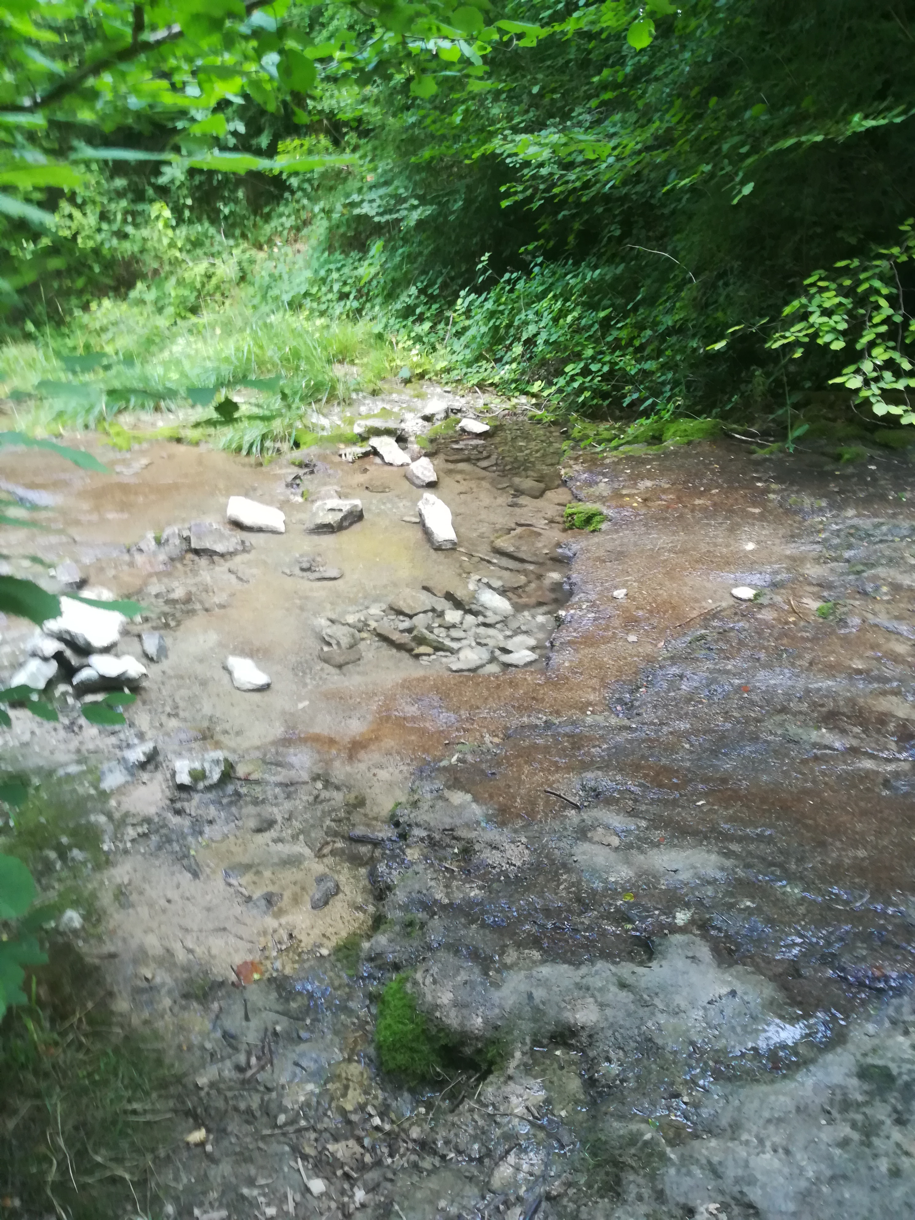 Photo n° 1 de l'avis de Dominique.e fait le 09/08/2018 à 07:24