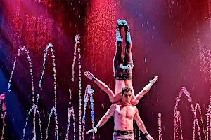 Cirque Italia Sarasota image