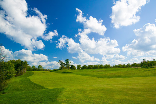 Public Golf Course «Bahle Farms Golf Course», reviews and photos, 9505 E Otto Rd, Suttons Bay, MI 49682, USA