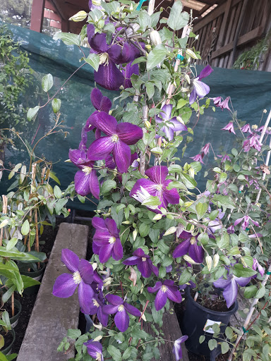 Home Improvement Store «Pierson Building Center», reviews and photos, 4100 Broadway St, Eureka, CA 95503, USA