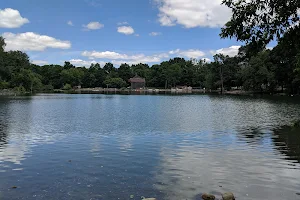 Webster Pond image