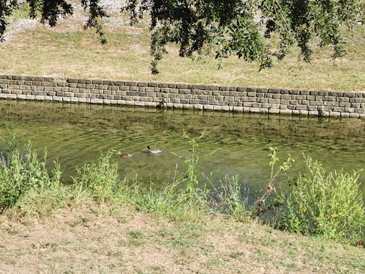 Park «W. J. Thomas Park», reviews and photos, 1955 Perry Rd, Carrollton, TX 75006, USA