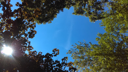 Garden Center «Copia Home and Garden», reviews and photos, 475 Smith Ridge Rd, South Salem, NY 10590, USA