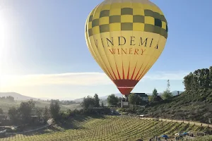 Vindemia Vineyard & Winery image