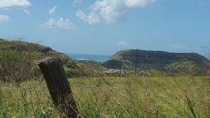 Kaala Hiking Trail - photo 92