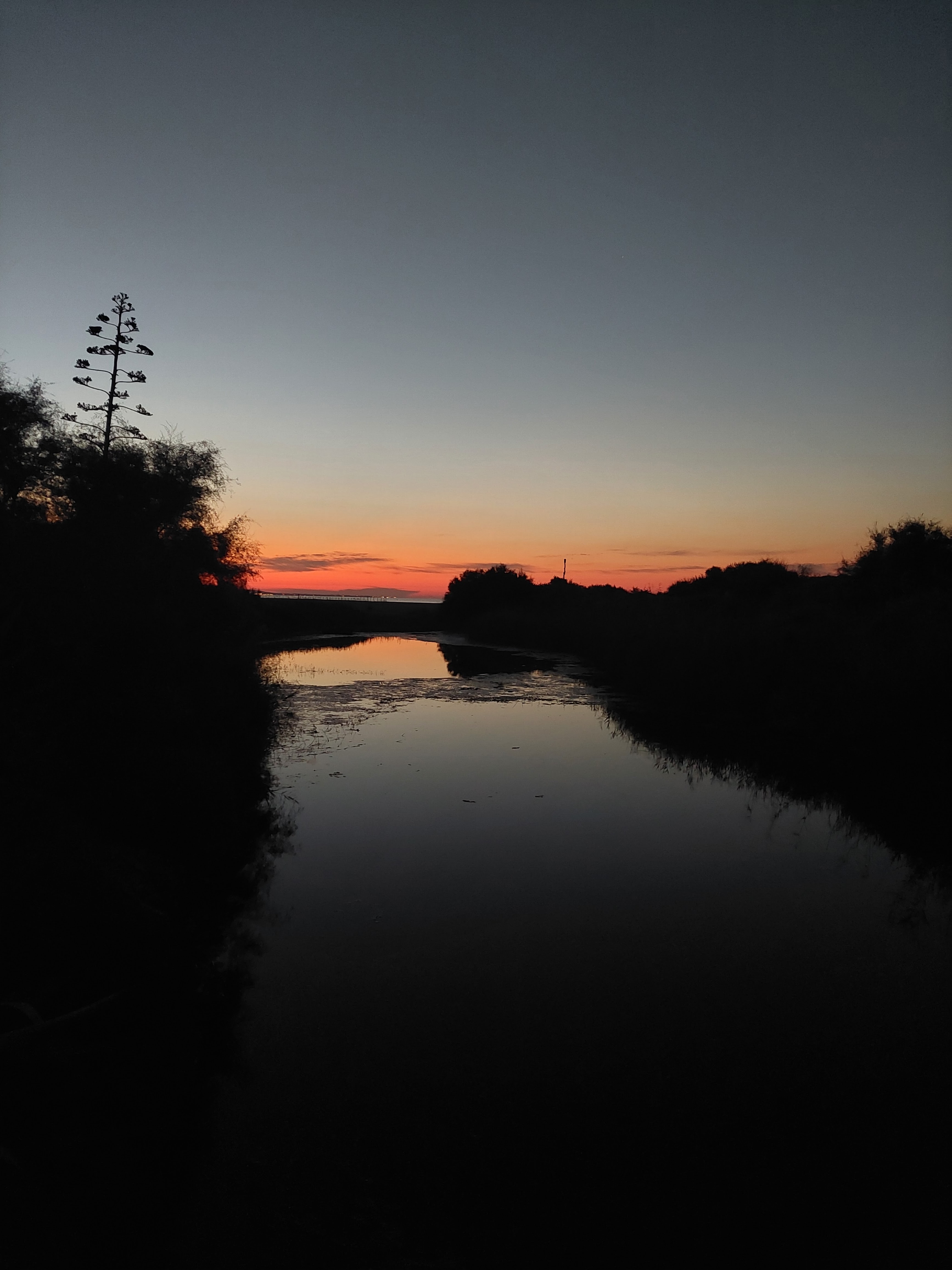 Photo n° 14 de l'avis de Thierry.a fait le 19/09/2022 à 21:07