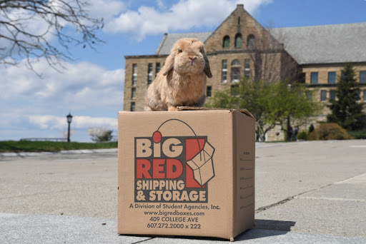 Storage Facility «Big Red Shipping & Storage», reviews and photos, 409 College Ave, Ithaca, NY 14850, USA