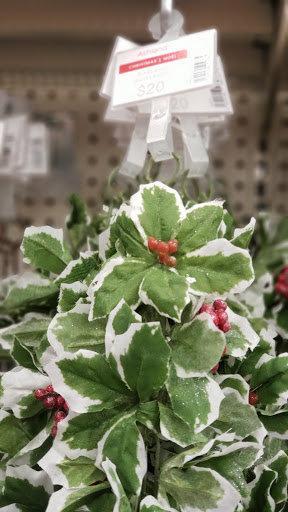 Craft Store «Michaels», reviews and photos, 2500 W International Speedway Blvd, Daytona Beach, FL 32114, USA