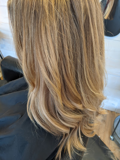 Hair Salon «Wild Root Certified Organic Hair Salon», reviews and photos, 307 Kellogg Ave, Ames, IA 50010, USA