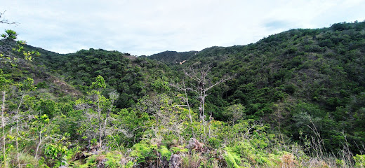 Reserva El Juaguito