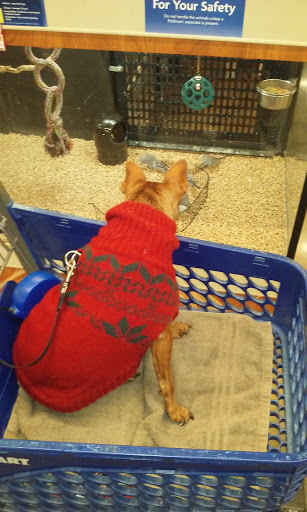 Pet Supply Store «PetSmart», reviews and photos, 4200 Derry St, Harrisburg, PA 17111, USA