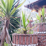 Photo n°10 de l'avis de Rosa.a fait le 01/05/2022 à 13:30 sur le  Fattorie Albatros à Quarto