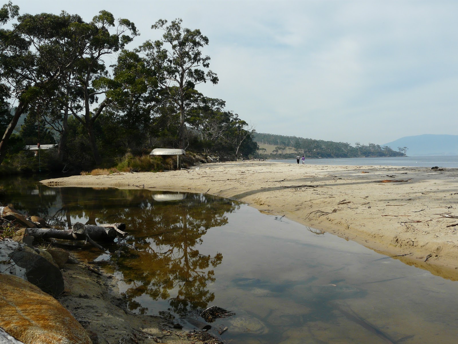 Fotografija Ninepin Point Beach divje območje