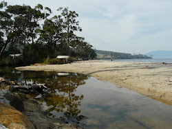 Zdjęcie Ninepin Point Beach dziki obszar