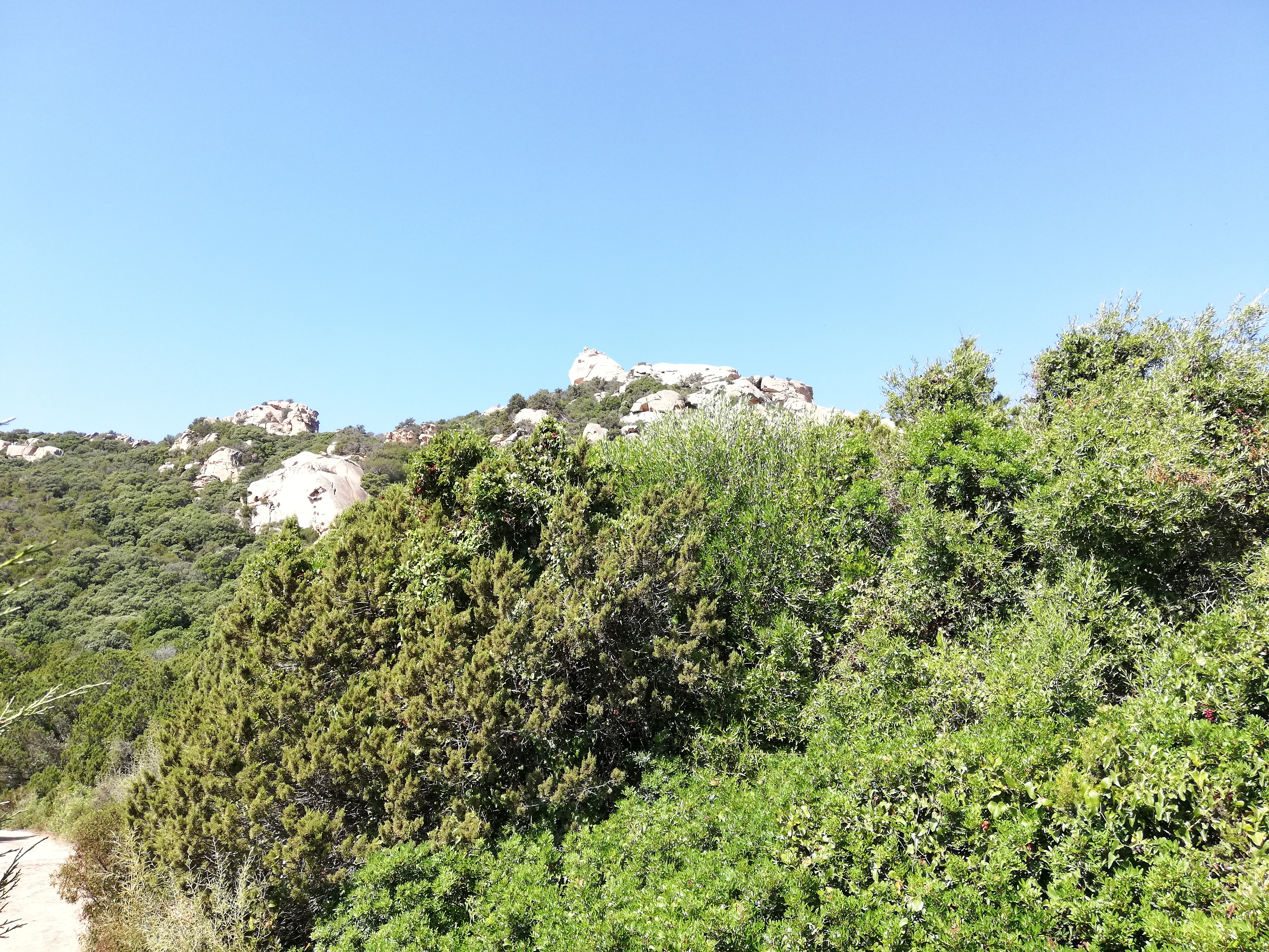 Photo n° 2 de l'avis de Lydie.a fait le 14/09/2018 à 18:12