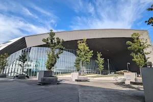 Musashino Forest Sports Plaza image