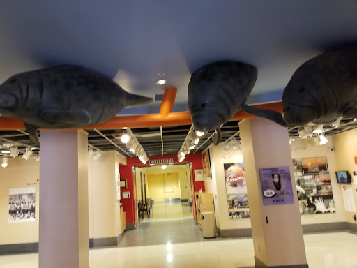 Historical Society «Orange County Regional History Center», reviews and photos, 65 E Central Blvd, Orlando, FL 32801, USA