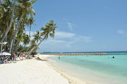 Maafushi Beach'in fotoğrafı kısmen otel alanı