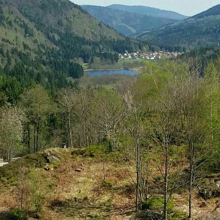 Photo n° 2 de l'avis de jarod.i fait le 12/04/2017 à 04:05