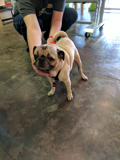 Pet Supply Store «Bow Wow & Meow», reviews and photos, 11607 Maumelle Blvd, North Little Rock, AR 72113, USA