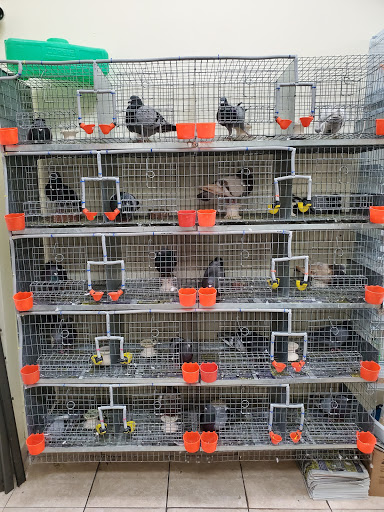 Cacique Botanica Petshop