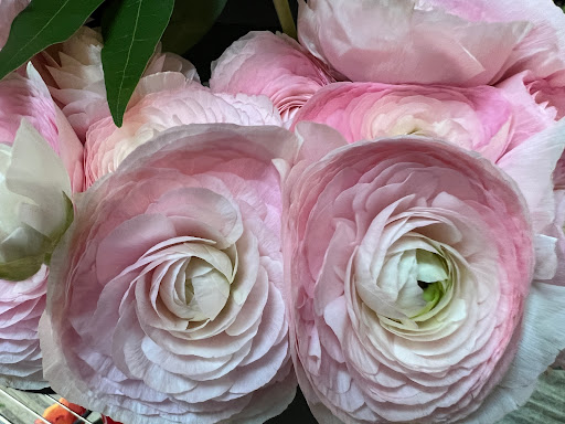 Florist «J. Morris Flowers», reviews and photos, 1603 Village Market Blvd SE #108, Leesburg, VA 20175, USA