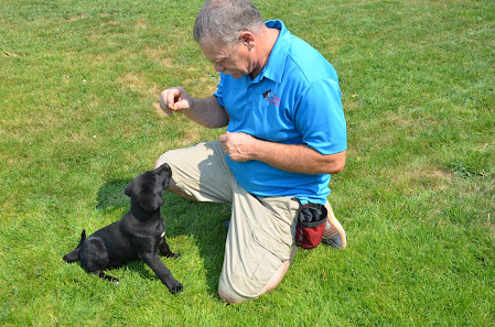 Good Citizen Dog 5109 N Sawyer Ave, Garden City, ID 83714