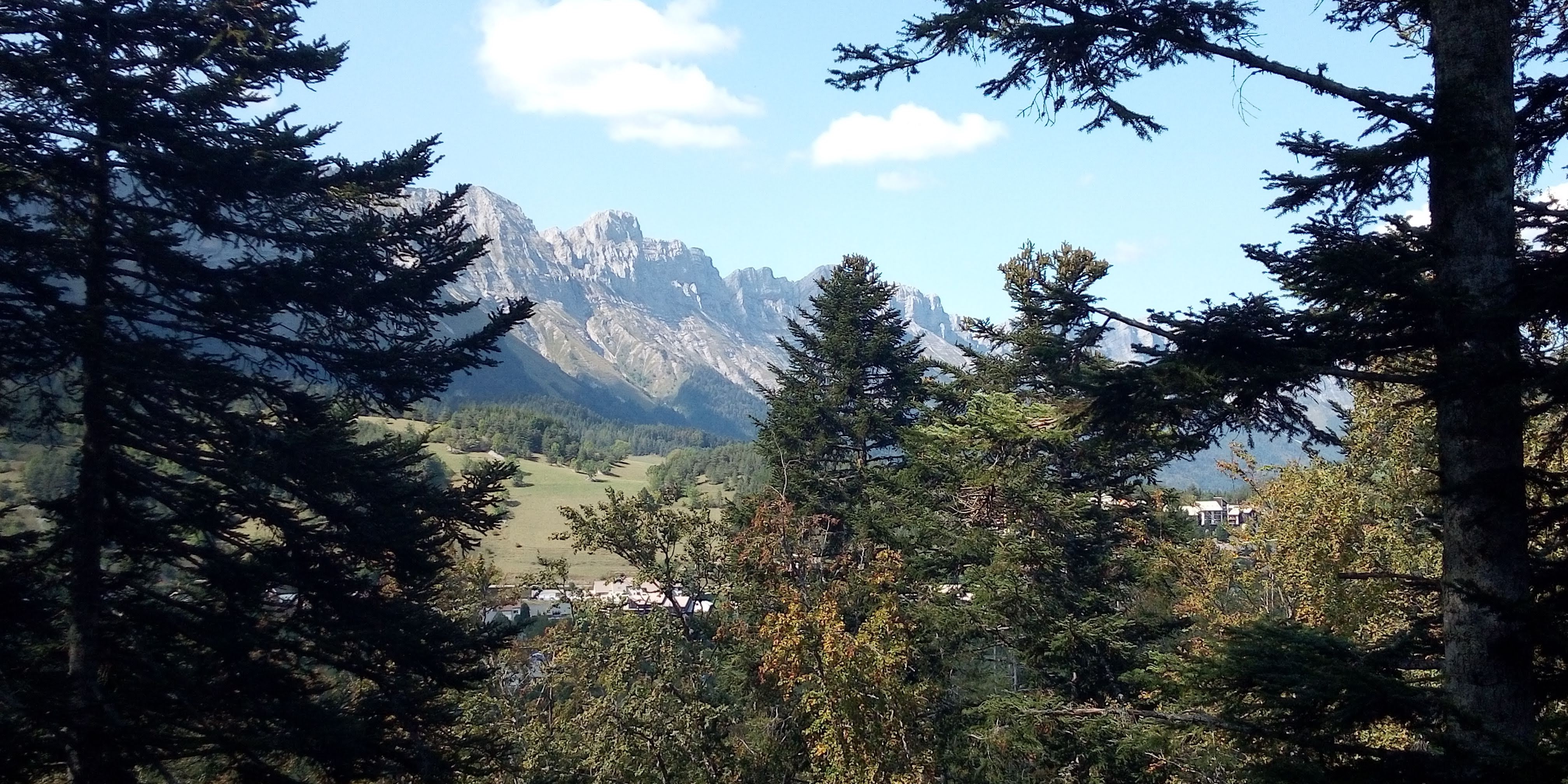 Photo n° 3 de l'avis de Delphine.a fait le 20/09/2020 à 06:15