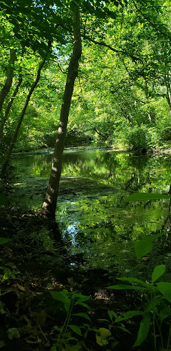 Nature Preserve «Twin Lakes Preserve», reviews and photos, Park Ave, Wantagh, NY 11793, USA