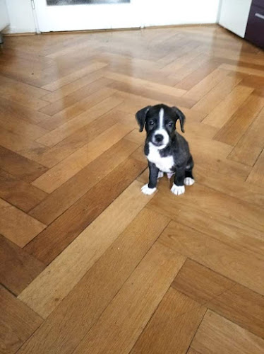 Veterina Oblačná Otevírací doba