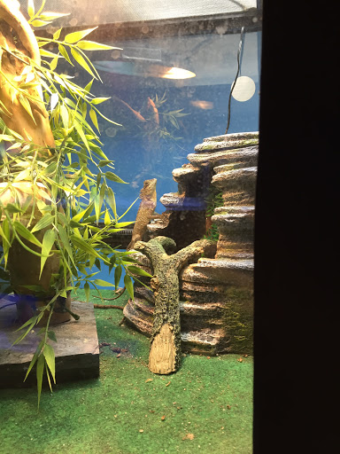 Pet Store «Inland Reef Pet Store», reviews and photos, 817 Cross Lanes Dr, Cross Lanes, WV 25313, USA