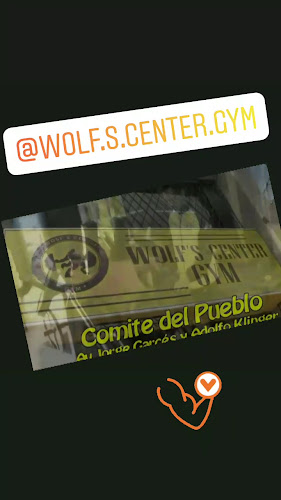 WOLF'S CENTER GYM - Gimnasio