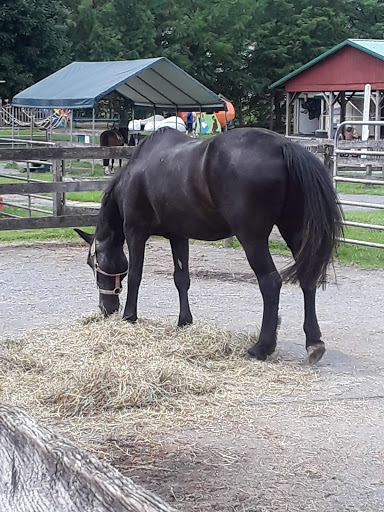 Farm «Clarks Elioak Farm LLC», reviews and photos, 10500 Clarksville Pike, Ellicott City, MD 21042, USA